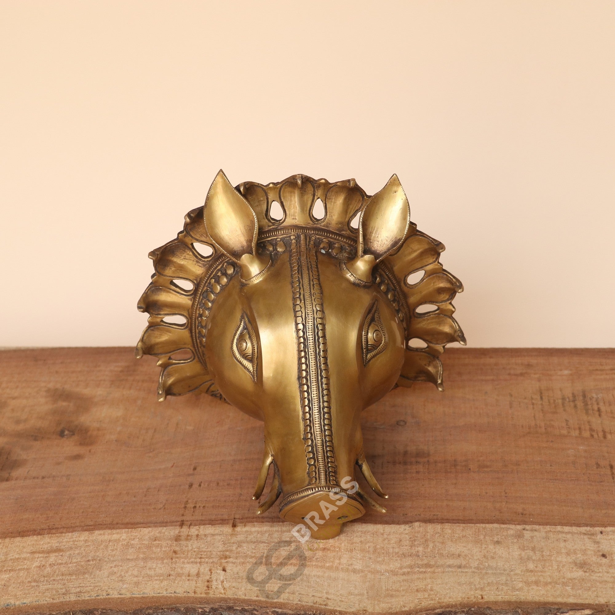 Brass Varaha Wall Hanging