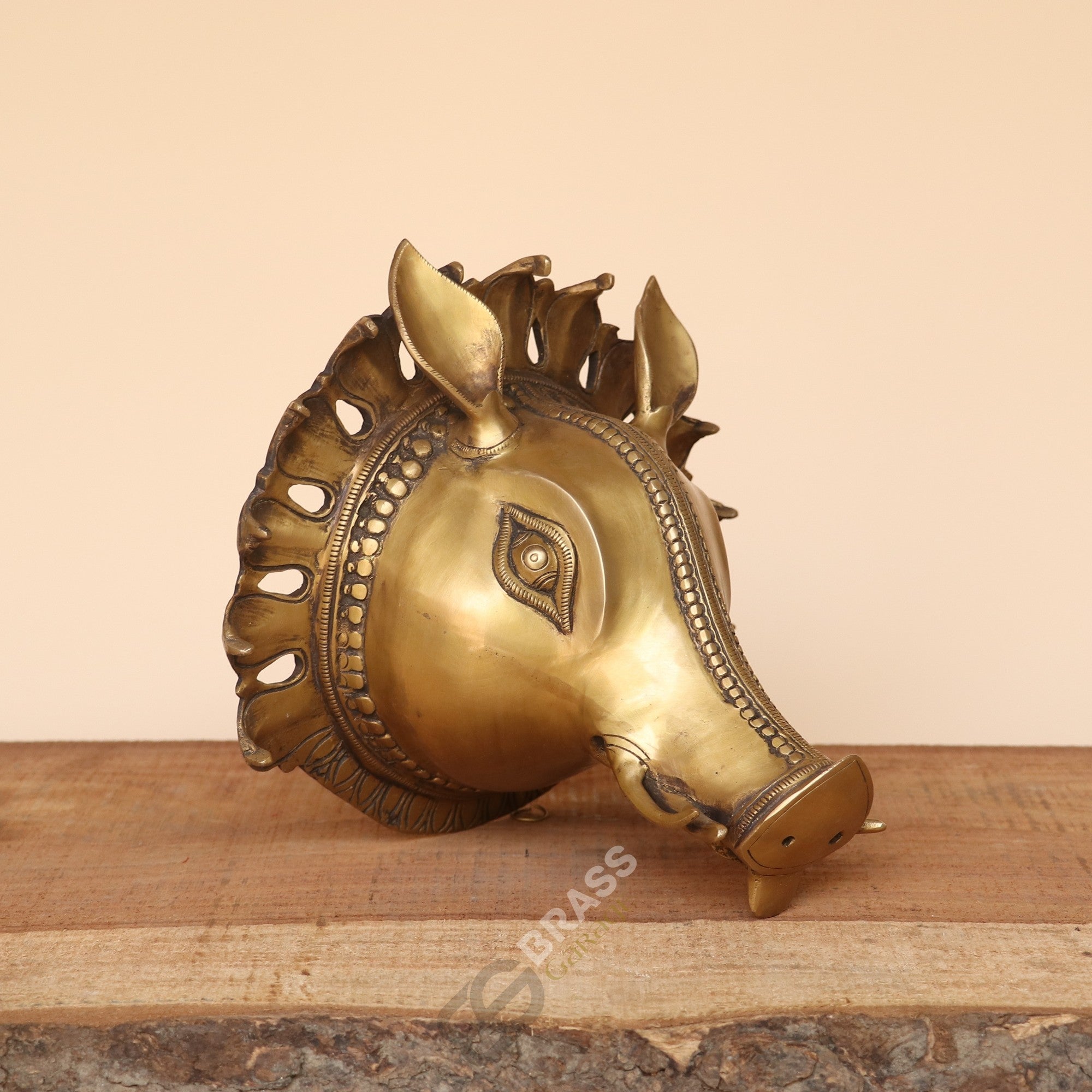 Brass Varaha Wall Hanging