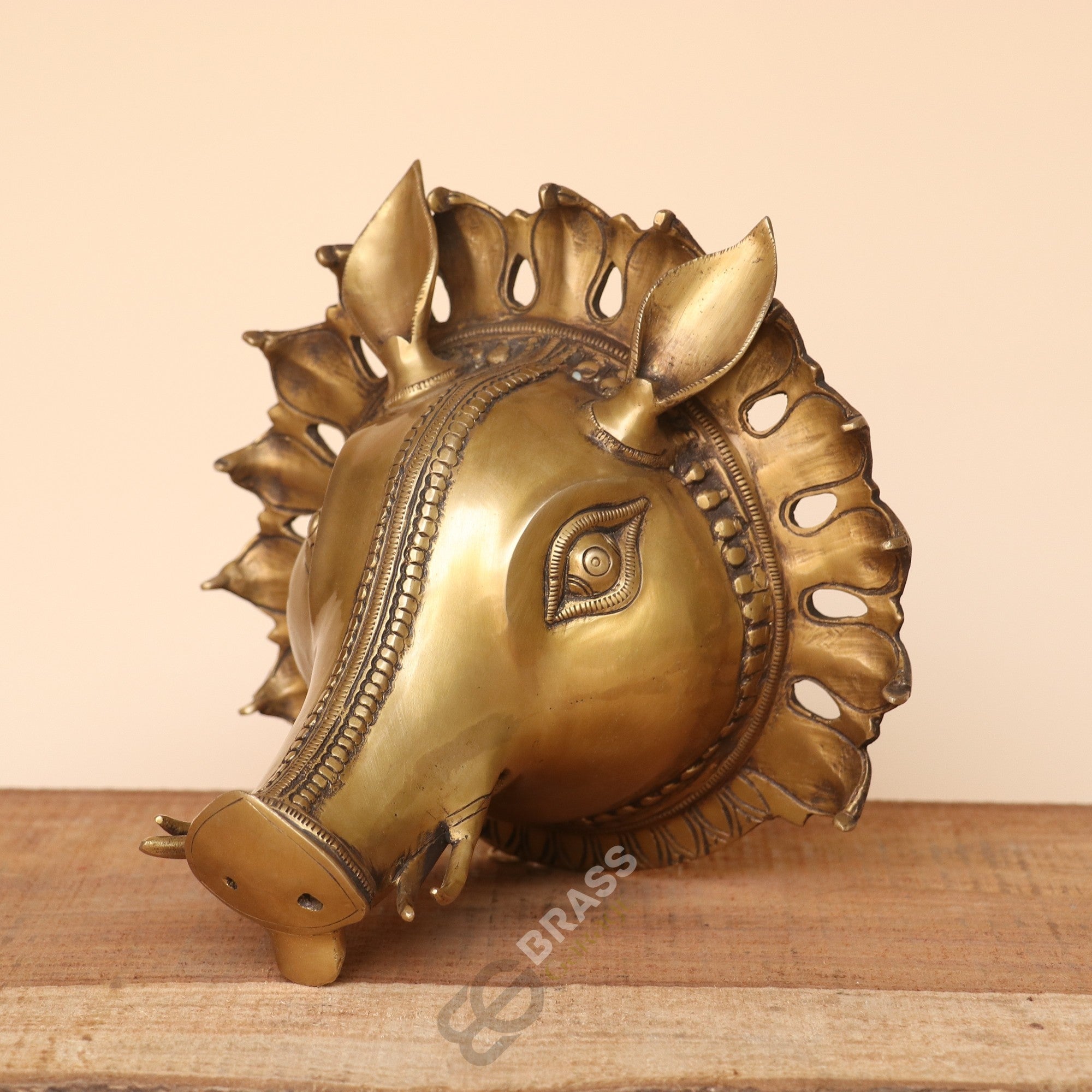 Brass Varaha Wall Hanging